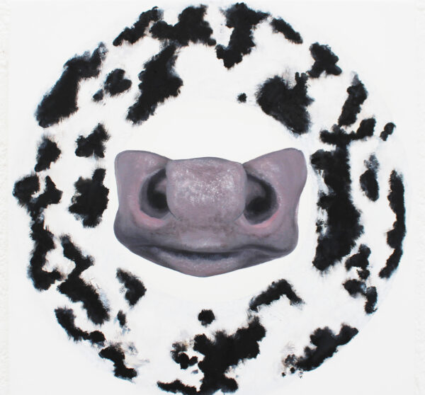 O